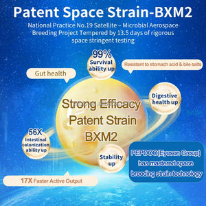 Probiotiques humains en marque privée, 50 milliards d'UFC, enzymes digestives, comprimés probiotiques Acidophilus pour le soutien immunitaire des adultes - Product Image 3