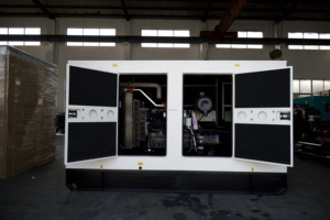 SHUNTONG güç 250kW 300kVA dizel jeneratör 1 yıl 1000 saat süper sessiz açık fırçasız kendinden heyecanlı 60Hz frekans ATS