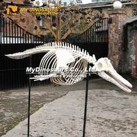 MY DINO Custom Primitive Products Squelette de dauphin grandeur nature à vendre