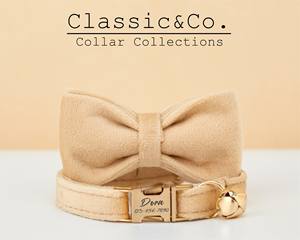 Beige Veet personalizado gato y perro pequeño Collar pajarita Correa conjunto, gratis grabado gatito cachorro nombre etiqueta, campana de oro, regalo de cumpleaños para mascotas - Product Image 4