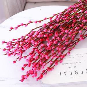 Flores Secas de Estilo Económico de Fábrica, Ramo de <span class=keywords><strong>Salix</strong></span> Argyracea, Fondo Natural para Decoración de Bodas, <span class=keywords><strong>Flor</strong></span> de Sauce Blanco Preservada - Product Image 3