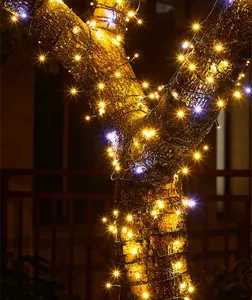 20m LED <span class=keywords><strong>String</strong></span> Luzes Preto Masculino & Feminino Conectável Impermeável Flash Bulb Decoração De Natal - Product Image 2