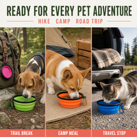 Gamelle pliable pour chien, écologique en TPE, avec bordure noire et clip, idéale pour les promenades en parc et les voyages, vente en gros