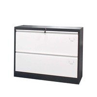 Archivador Metálico Moderno de 2 Niveles con Cajones, Gabinete de Acero para Archivos y Documentos con Cerradura Central