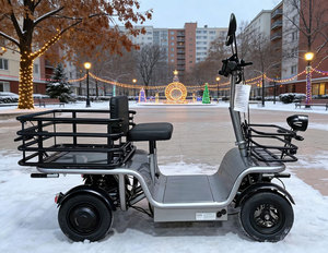 Scooter électrique puissant à 4 roues <span class=keywords><strong>avec</strong></span> moteur à engrenages 250W, <span class=keywords><strong>porte</strong></span>-bagages extensible, maniabilité facile, véhicule adapté aux espaces étroits - Product Image 3