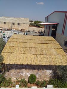 Machine automatique de fabrication de paille de <span class=keywords><strong>bambou</strong></span> pour tapis tressés et chalets en chaume - Product Image 6