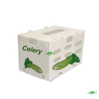 Boîte en plastique ondulé PP pour l'emballage des fruits et légumes frais, conteneur en carton empilable