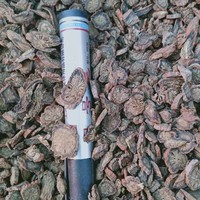 Salvia Miltiorrhiza (Dan Shen) sans soufre, 100 % pure, séchée, herbe chinoise brute d'Anhui Bozhou Zhouhetang - Durée de conservation de 24 mois