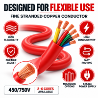 Câble en caoutchouc silicone YGC 2Core 2,5 mm 4 mm 6 mm, résistant aux hautes températures, câble d'alimentation flexible, fil électrique multiconducteurs en cuivre