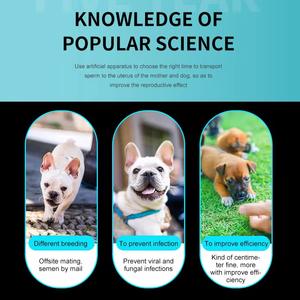 <span class=keywords><strong>Prix</strong></span> de gros Kit d'élevage canin Canine Vas Deferens Tube d'<span class=keywords><strong>insémination</strong></span> <span class=keywords><strong>artificielle</strong></span> pour <span class=keywords><strong>chien</strong></span> - Product Image 4
