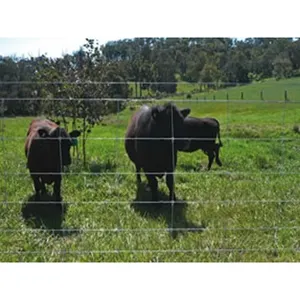 Venta directa de fábrica cerca de campo de cabra/oveja tejida galvanizada en caliente