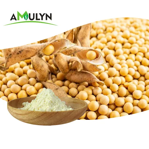 Food Grade Soybean Extract Lecithin Powder Phosphatidylcholine soy phospholipids powder
