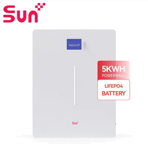 Batería LiFePO4 SunPlus de 51,2 V 100Ah montada en la pared de 5000 V | 5.12kWh | Garantía de 10 años | Más de ciclos | -20C 60C | - Product Image 1