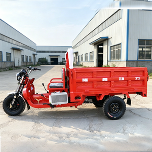Strong Climbing Ability Single Cylinder 4-stroke Lonxin Les Tricycle <b>Box</b> Size Customizable Tricycle Essence - Product Image 6