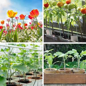 C91 4mm d'épaisseur <span class=keywords><strong>jardin</strong></span> tige unique fleur Support pieu <span class=keywords><strong>Amaryllis</strong></span> plante Cage Support anneaux plante Support piquets - Product Image 6