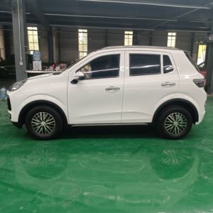 Nuevo SUV Eléctrico de Baja Velocidad con Autonomía de 301-400 km, Motor de 200-250 kW, Carga Rápida - Promoción por Tiempo Limitado - Product Image 3