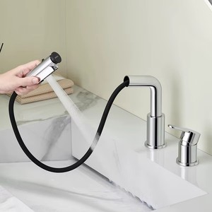 Robinet de lavabo de luxe en acier inoxydable nickel brossé à bec extractible, robinet de lavabo classique - Product Image 2
