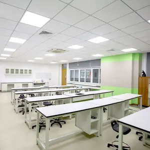 Okullar için lavabo tedarikçileri üreticisi ile özelleştirilmiş kimyasal biyoloji laboratuvar mobilyası kabine laboratuar tezgahı