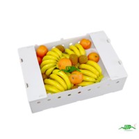 Waterdichte gegolfde PP kunststof holle plaat transportbox voor vis, groenten en logistiek, SGS gecertificeerd, 2-12mm