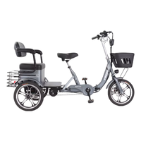 Vélo électrique compact et léger avec batterie longue durée pour les trajets en ville