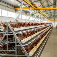 Cage à poules pondeuses multi-niveaux de type 3/4, galvanisée à chaud, avec machine d'alimentation automatique, longue durée de vie, équipement d'élevage avicole