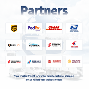 Transport aérien et <span class=keywords><strong>express</strong></span> de Shanghai vers l'Inde - DHL/UPS/FedEx, manutention des marchandises dangereuses et expédition commerciale sécurisée - Product Image 3