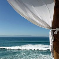 Tureen de 8oz para Primavera y Verano - Product Image 2