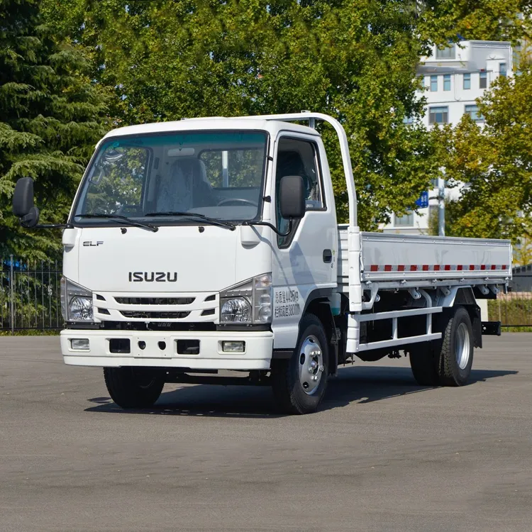 Isuzu Light Duty 4x2 Diesel Cargo Truck for Sale Brand New Camera Small Used Truck for Sale Manual Euro 3 100P Crane Truck