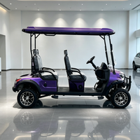 Voitures de golf électriques professionnelles 4 places alimentées au lithium 48V en vente, voiturette de golf tout-terrain, buggy de golf 30-50 km/h, 70-90 km d'autonomie