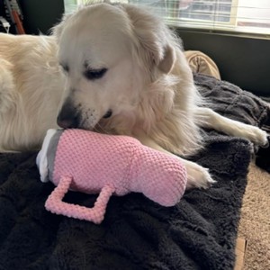 Plush Water Bottle Dog Toy Pink Durable Chew Squeaky Indoor <b>Pet</b> Toy - Product Image 3