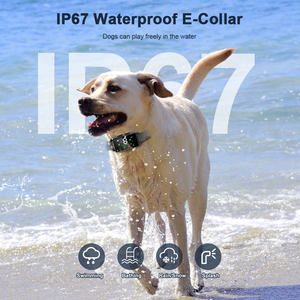 8 स्तरों की संवेदनशीलता के साथ 2024 नई लंबी बैटरी लाइफ रिचार्जेबल बारक कॉलर - Product Image 4