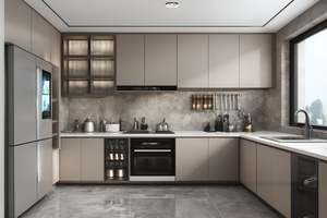 SANTOPOVA Cheap Price Modern L-Shaped Modular <b>Kitchen</b> Cabinet Set Matte Lacquer Finish Customized Design Built-in <b>Appliances</b> - Product Image 3