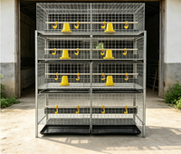 Cage à poulets à 4 niveaux en fil électrogalvanisé, 80 poulets, 2 portes