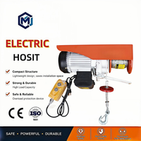 Hoist Listrik Kecil 100kg Nirkabel 110V, Rendah Kebisingan, CE, Umur Pakai Panjang, untuk Bengkel Perawatan dan Pabrik