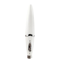 Handheld USB elektrische gezichtsmassager voor thuisgebruik met nano-naaldpen voor gezichtsverzorging - 3 snelheidsstanden
