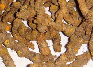 Extracto de berberina en polvo, extracto de raíz de sello dorado, grado alimenticio, precio bajo, alta calidad, 97% - Product Image 2