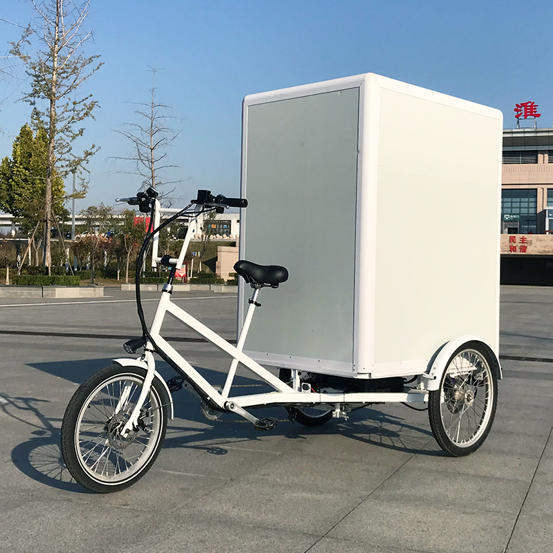 new cargo mini van bike three wheels electric cargo bike with rear cargo box on hot sale