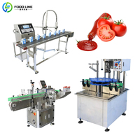 Tomatenpuree productielijn kleine schaal complete tomatenpuree productielijn alle machines