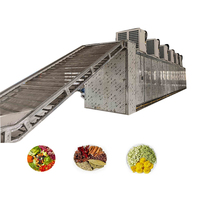Ligne de production de séchage de fruits de type ceinture de maille de convoyeur continu