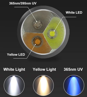 Lampe torche rechargeable UV LED à lumière violette pour l'identification des bijoux, en alliage d'aluminium et acier inoxydable, pour pierres précieuses et jade