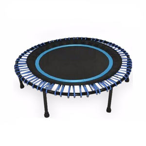 Tigre <span class=keywords><strong>Fitness</strong></span> 2020 <span class=keywords><strong>mejor</strong></span> venta de productos de etiqueta privada de seguridad saltar Bungee trampolín - Product Image 4
