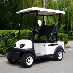 Voiturette de golf électrique de luxe 2 places à moteur sans balais, confortable, batterie 60V, personnalisable, tout-terrain, autonomie 50-70km, prix usine, à vendre - Product Image 1