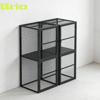 BRIO Casier vertical en treillis métallique galvanisé à chaud, double niveau, grande capacité, verrouillable, avec cadenas