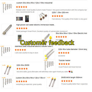 380v 9kw Ss316 Thread Screw Plug 3 Phase Water Immersion Heater Electric for Pool - Product Image 6