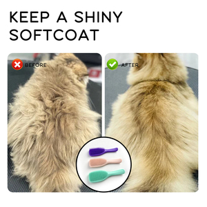 Peigne de massage portable de luxe pour animaux de compagnie, ultra-doux, en TPE et ABS, écologique et sûr, pour un démêlage simple et sans effort - Product Image 4