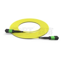 Kabel Patch Fiber Optik 24 Core MPO MPO Single Mode G657A1 OS2 dengan Jaket LSZH, Panjang 1m, Tipe B Polarity untuk Pusat Data