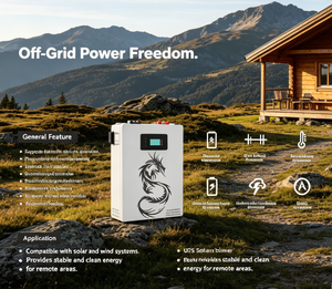 Batería de Pared LiFePO4 Dragon Power DPLB-51100-LFP 51.2V 100Ah 5.12kWh - Product Image 4