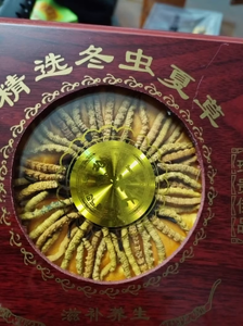 Nấm Cordyceps Sinensis (Nấm bướu) nguyên cây, nấm Cordyceps Wilde, nấm Cordyceps Sinensis dạng bào tử - Product Image 4