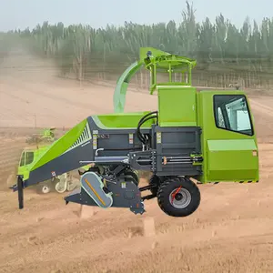 Presse à balles carrées Fournisseur de presse à paille pour ensilage agricole