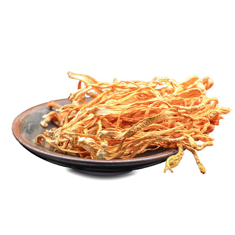 Naturally Dried Cordyceps Flower Chong Cao Cordyceps Militaris For Food